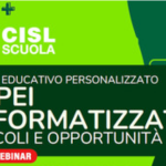 IL PEI INFORMATIZZATO