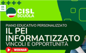 IL PEI INFORMATIZZATO